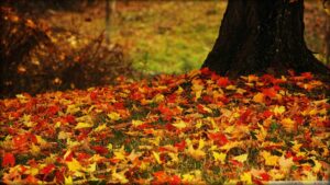 L'Equinozio d'Autunno