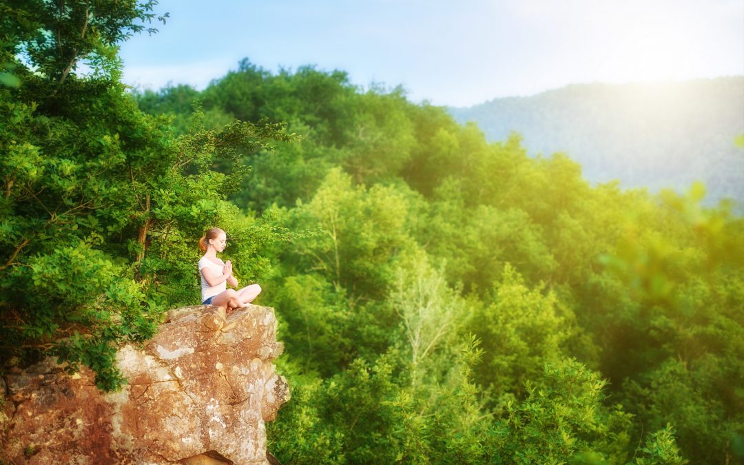 Gli stadi del Maha Vidya Yoga