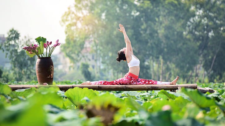 Il Vinyasa Yoga e il Linguaggio