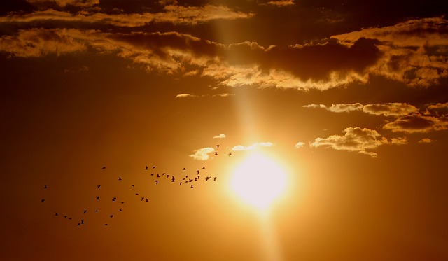 Saluto al Sole - Parco dell'Anconella a Firenze